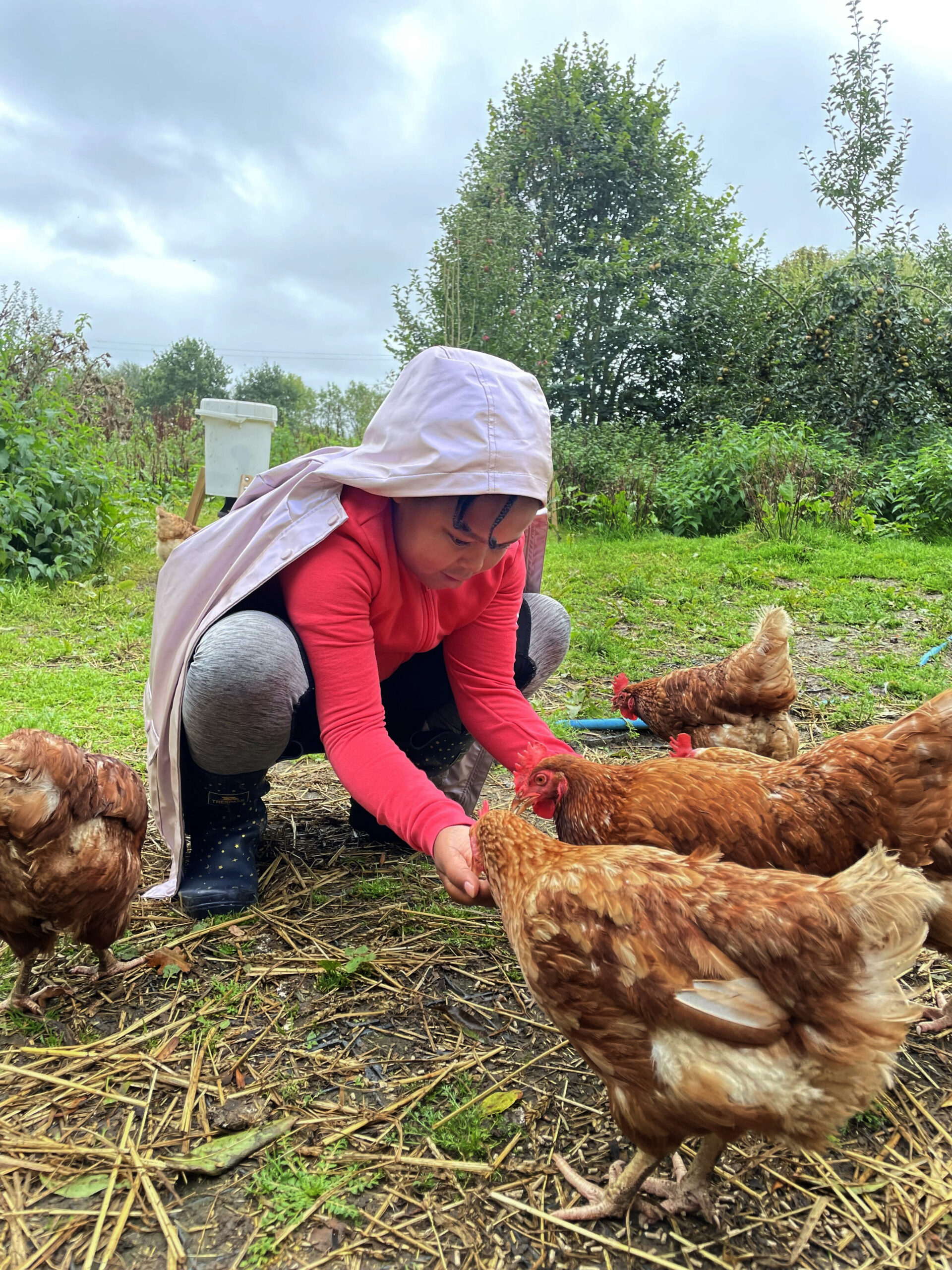 Magdalen Farm, Chard, Somerset