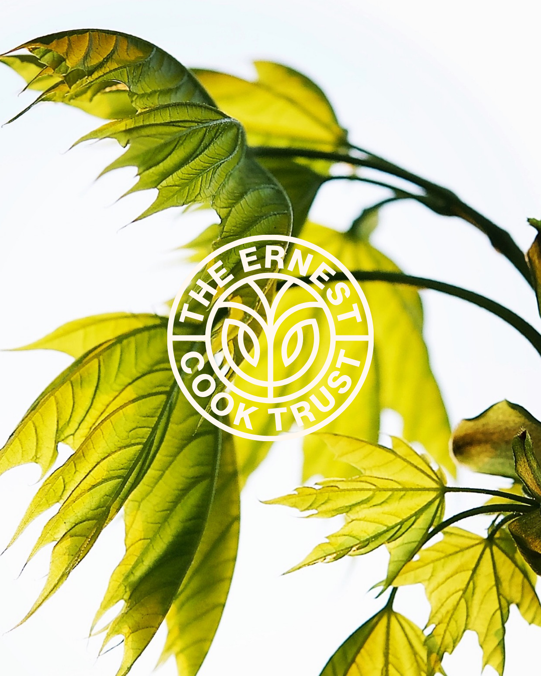 A new season at the Ernest Cook Trust