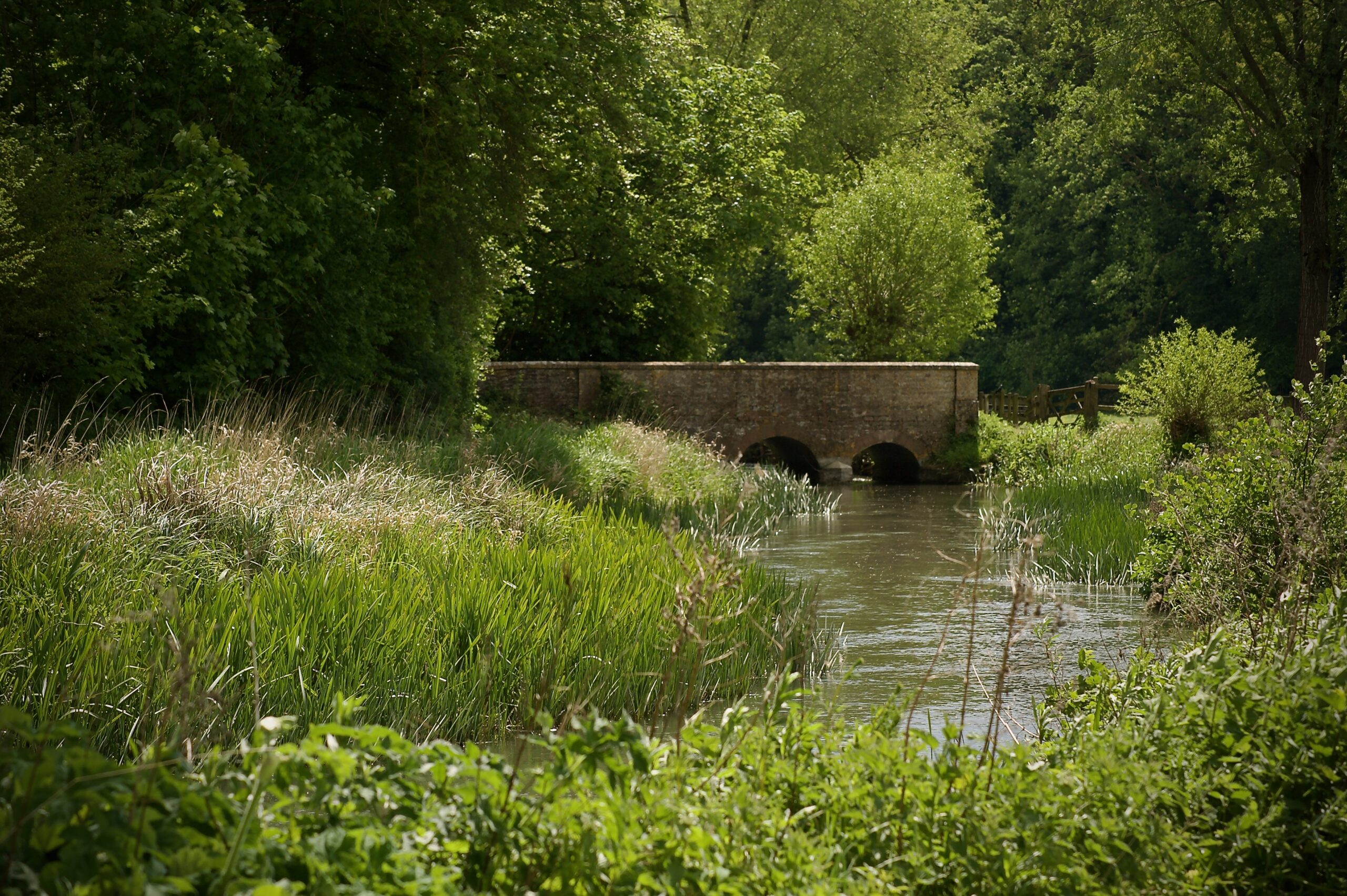 The River Coln in Fairford
