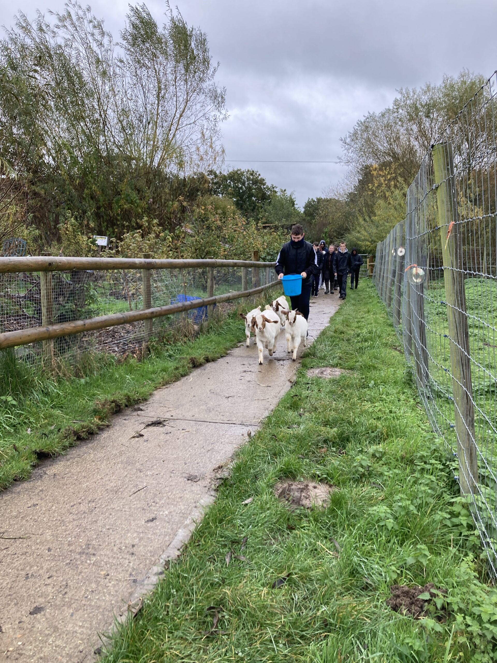 Lambourne End Centre, Lambourne End, Essex
