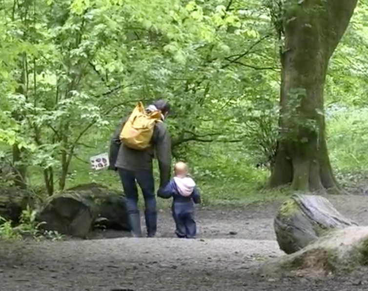 We’re going on a bear hunt