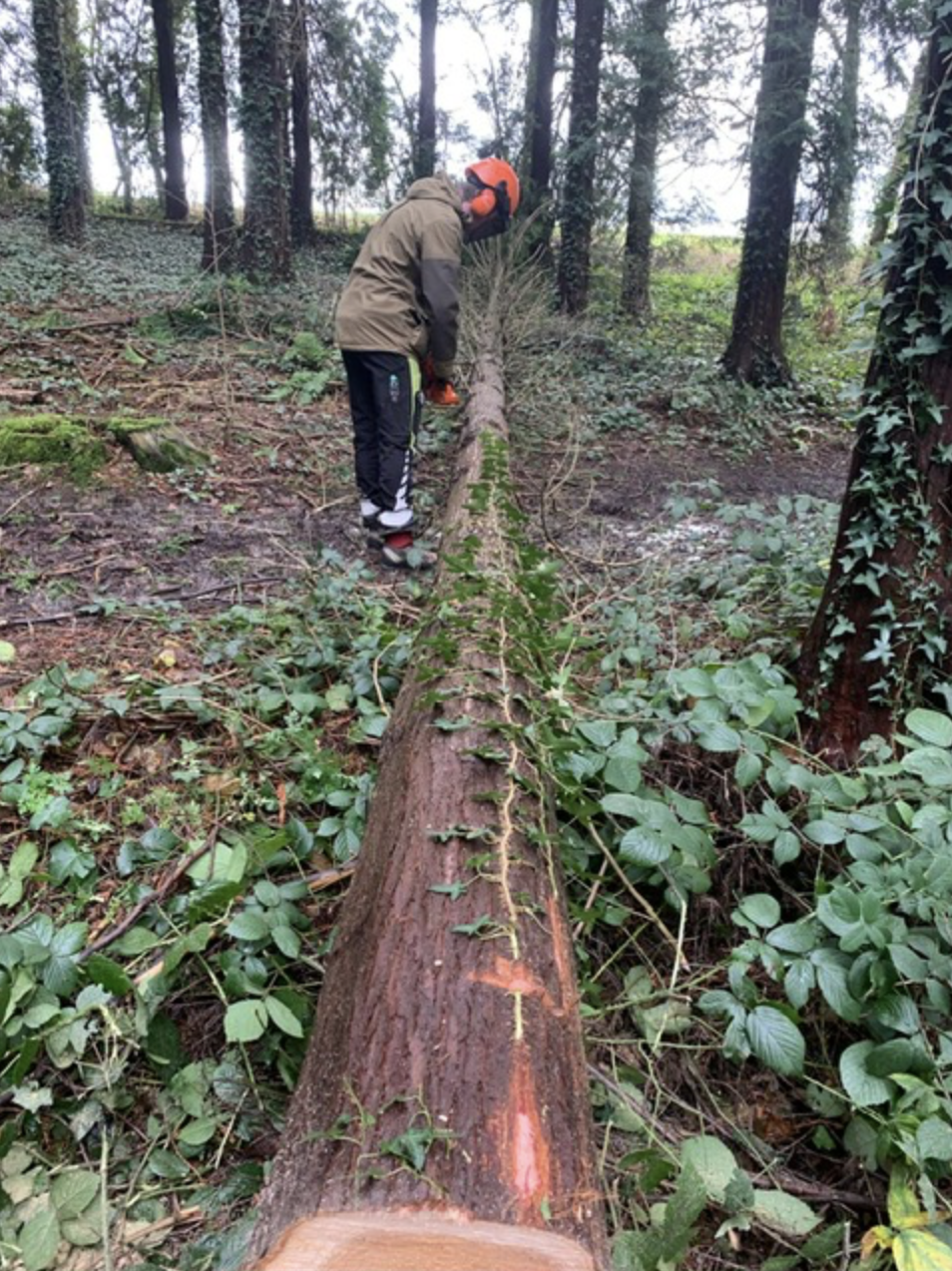 Cleaning up after Bert and Darragh