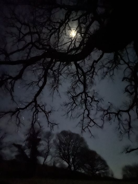 Stargazing, swings & self-esteem