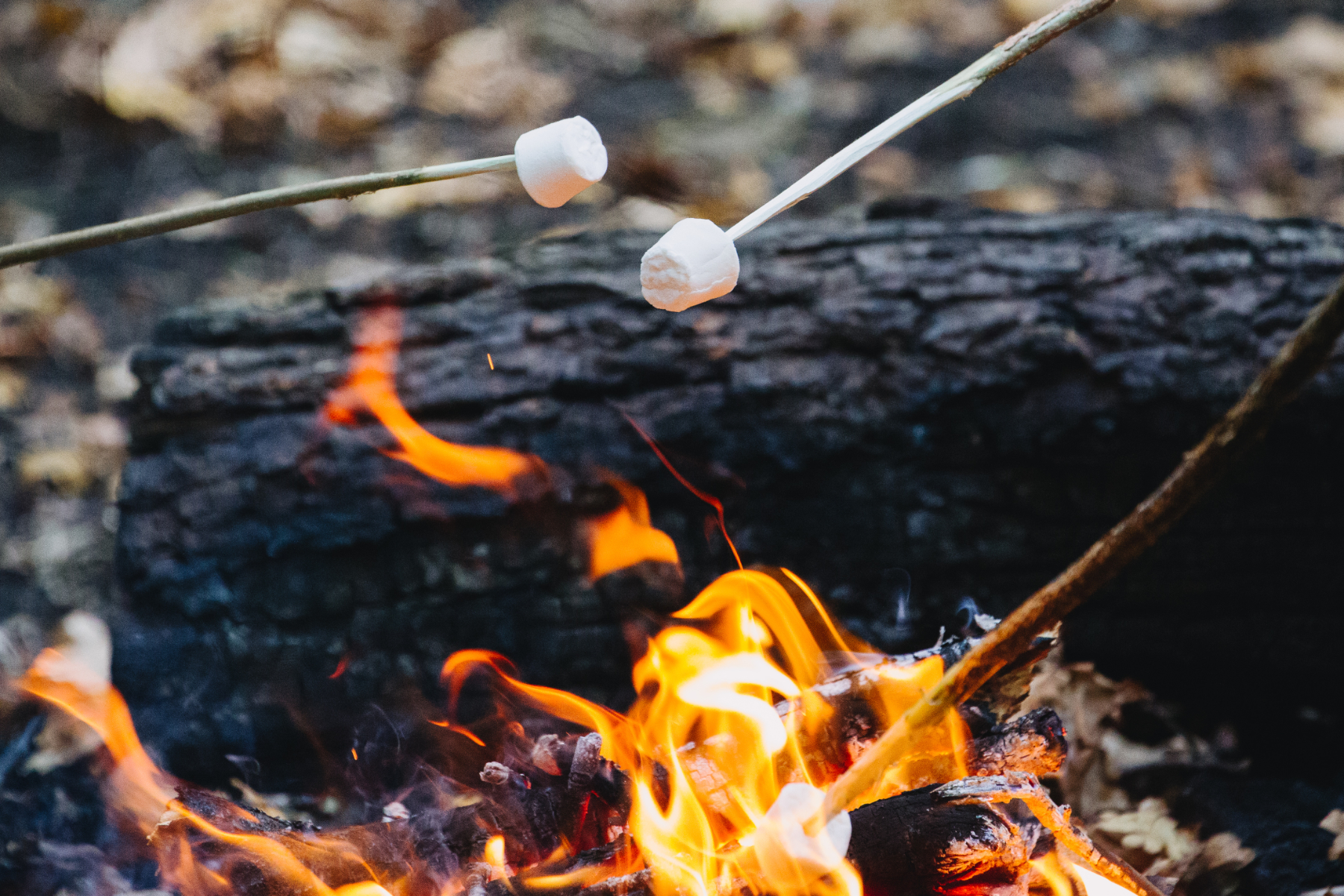 Toasting Marshmallows