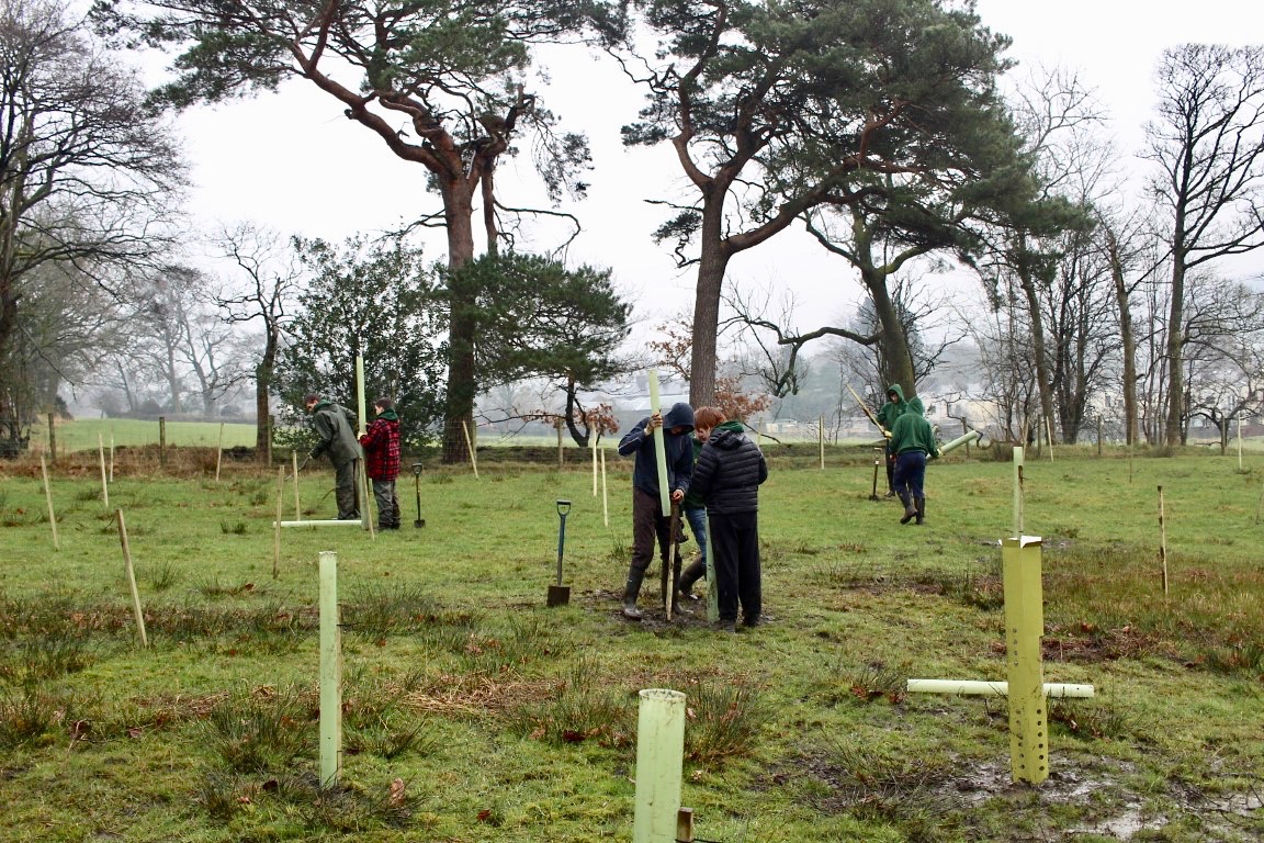 500 Trees & Planting!