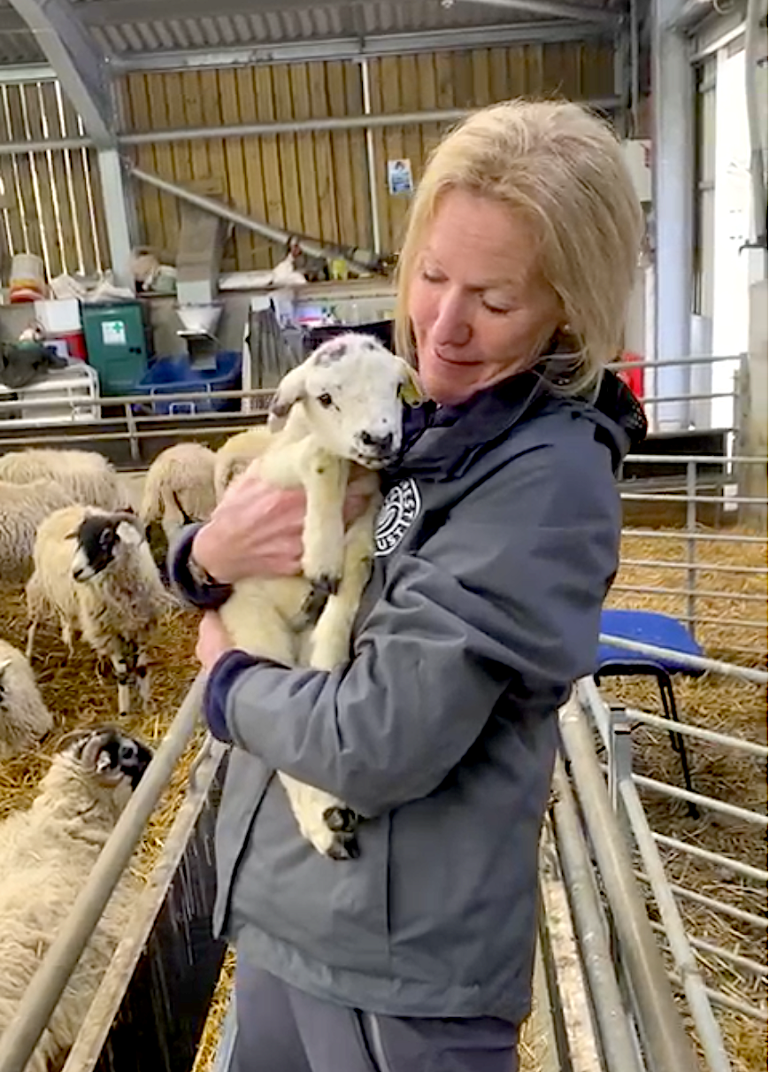 BBC Radio Cumbria visits Low Beckside Farm