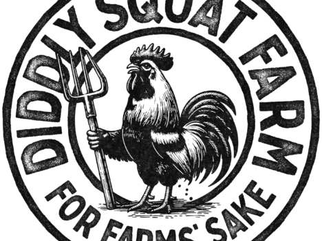 Diddly Squat Farm logo