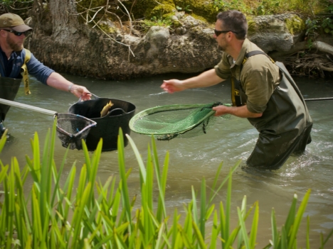 Ernest Cook Trust - 