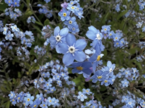 Ernest Cook Trust - 