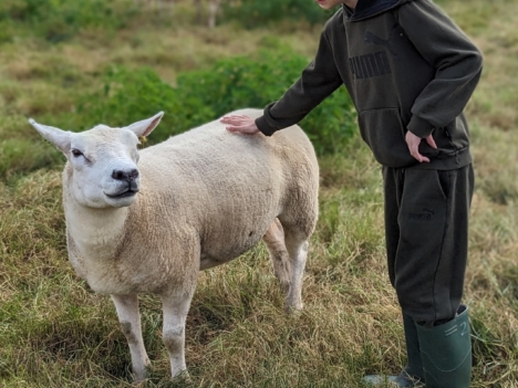 Ernest Cook Trust - 