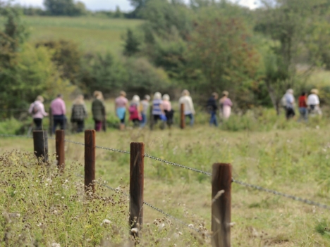 Ernest Cook Trust - 