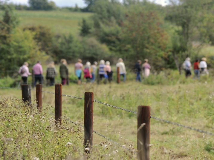 Ernest Cook Trust - 