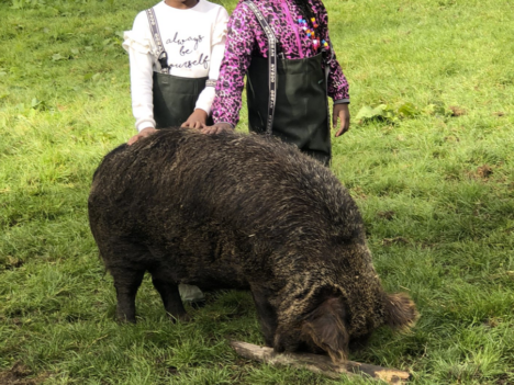 Ernest Cook Trust - 