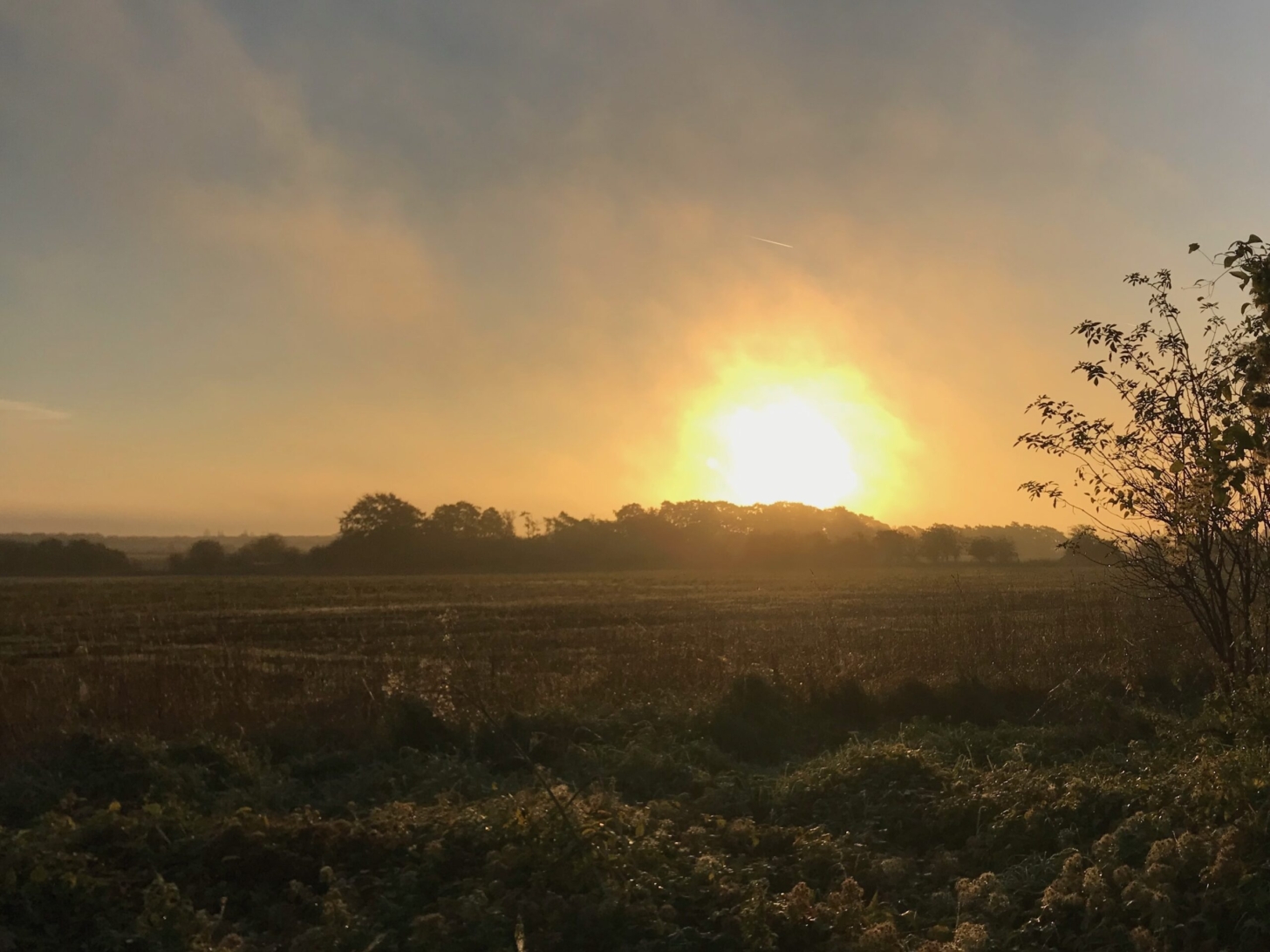 Solar Farm on our Fairford Estate