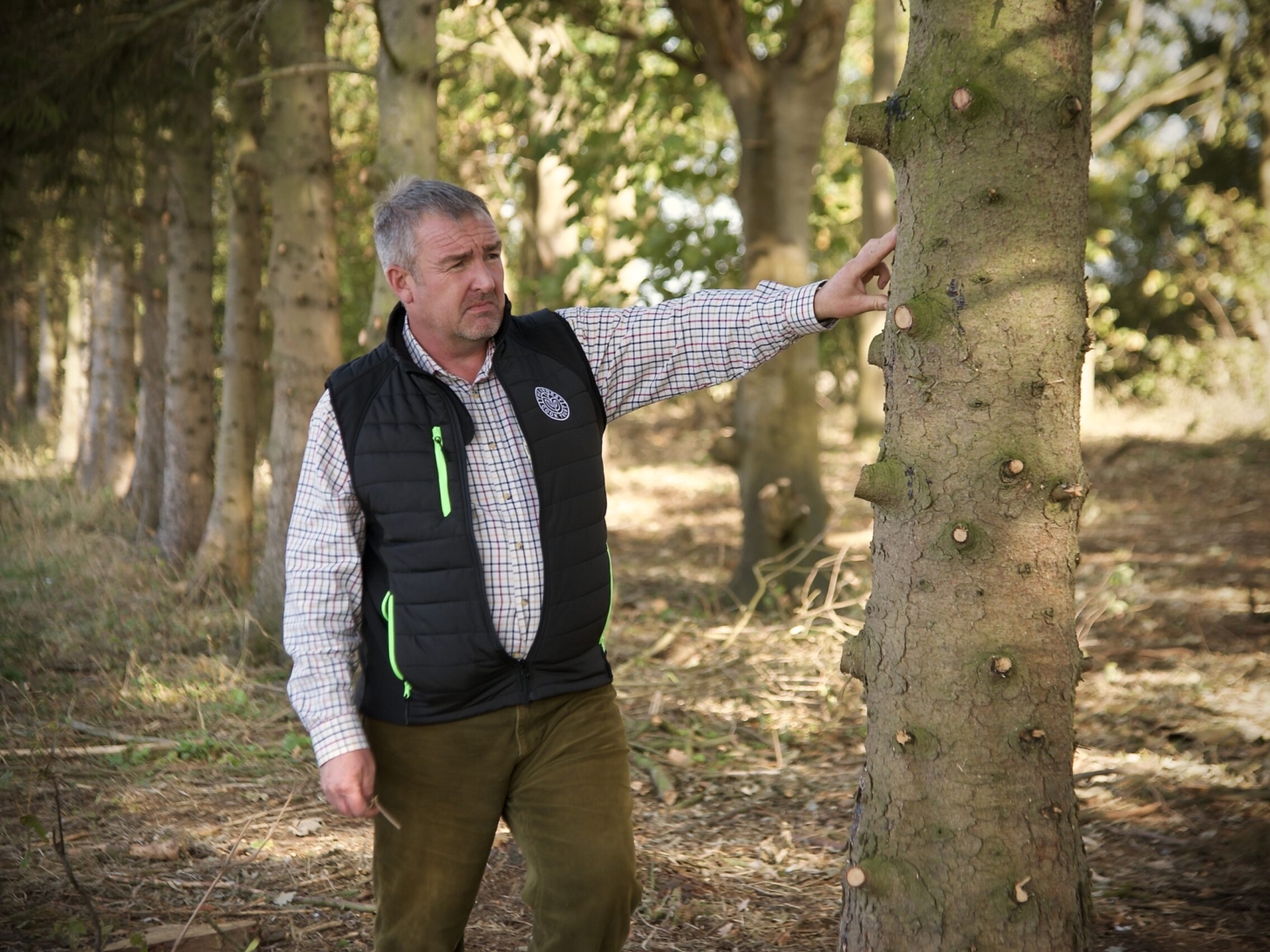 A Day in the Life of…